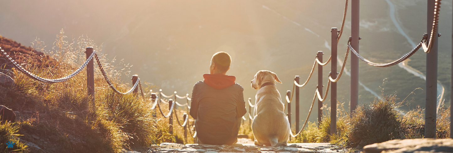 Beverly Hills Pet Hospital