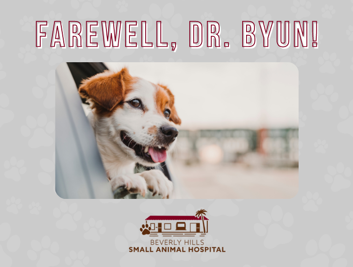 Farewell, Dr. Byun